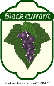 black currant label, vector illustration