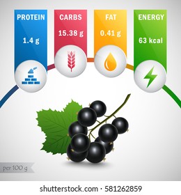 Black currant nutrients vector. Protein, carbs, fat, energy