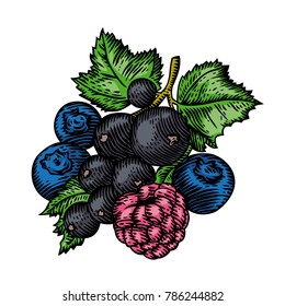 Mixed Berries Isolated On Black Ilustraciones Imagenes Y Vectores De Stock Shutterstock