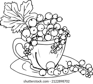 Black currant, red in a cup.Doodles ,vector,black and white illustration,coloring book for adults and children.