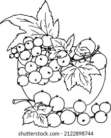 Black currant, red in a cup.Doodles ,vector,black and white illustration,coloring book for adults and children.