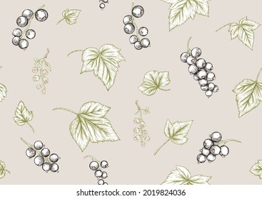 Black currant. Ripe berries. Seamless pattern, background. Vector illustration. In botanical style on beige background.
