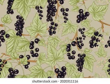Black currant black, ripe berries. Seamless pattern, background. Vector illustration. In botanical style on kraft beige background