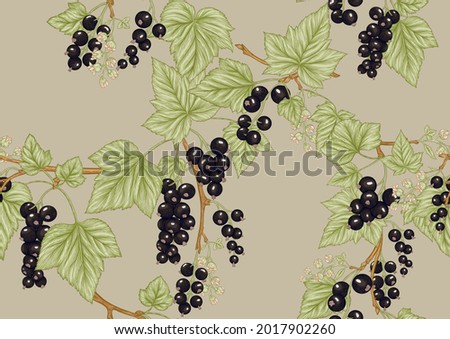 Black currant black, ripe berries. Seamless pattern, background. Vector illustration. In botanical style on kraft beige background