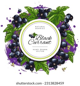 Black currant round banner with copy space for text, sketch vector illustration isolated on white background. Delicious hand drawn berries with engraving texture. Blackcurrant branches with leaves.