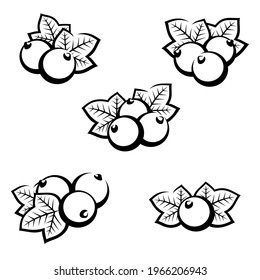 Black currant set. Collection icons black currant. Vector