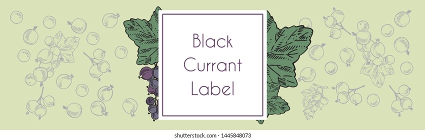 Black Currant Syrup Label Model
