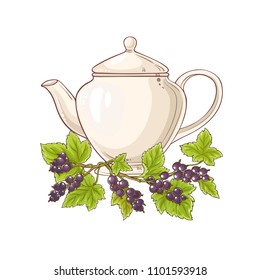 black currant tea illustration