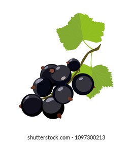 Black currant. Vector icon in cartoon style. Isolated on white background