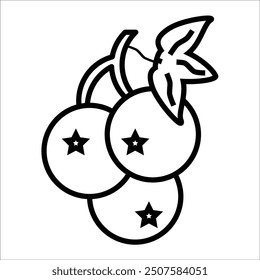black currant vector icon line template