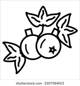 black currant vector icon line template