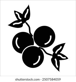 black currant vector icon line template