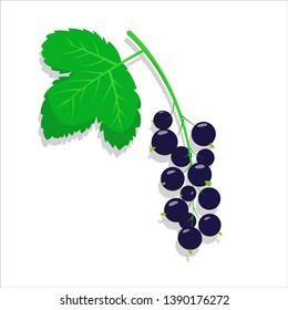 Black currant vector illustration. Currant with leaf icon or sticker.