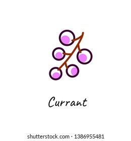 Black currant vector outline icon on white.