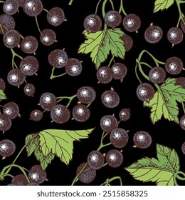 Padrão sem emenda do vetor de groselha preta