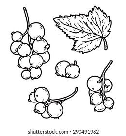 Black currant. Vector set of cute hand drawn outlines black currant.