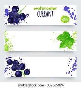 Black currants banner set with leaves on white background. Watercolor vector illustration. Berry design elements. Global color used.