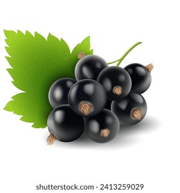 Black currants on a white background. Clipart of a currant branch with a green leaf. Vector illustration. Sketch for creativity.