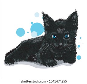 black cute cat on white background