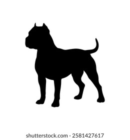 Black cute dog pitbull silhouette vector flat illustration design on white background.