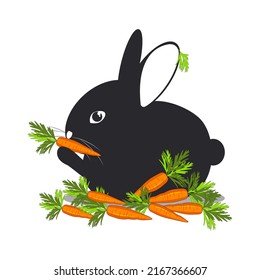 A black cute rabbit among vegetables sits and gnaws on ripe carrots. The hare is isolated on a white background. Vector.