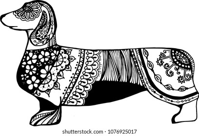 Black dachshund of lace and ornament on a white background