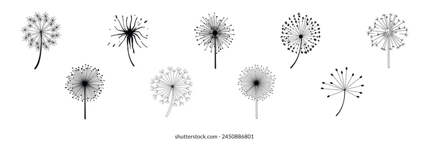 Black Dandelion Flower on Stem with Fluffy Head Vector Set