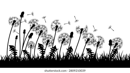 Black Dandelion Meadow Silhouette Vector Isolated on White Background