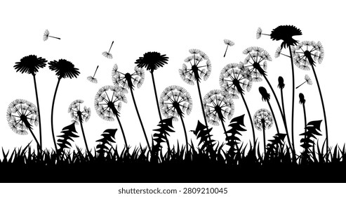 Black Dandelion Meadow Silhouette Vector Isolated on White Background