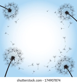 black dandelion on blue background