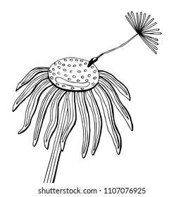 Black dandelion-drawing sketch on a white background.