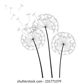 Black dandelions on a white background. EPS vector image. Plant motif, flower and seeds. Decorative graphics for printing. Romantic vision of the end of summer. Flight into the unknown.
