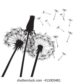 Black dandelions on a white background. EPS vector image. Plant motif, flower and seeds. Decorative graphics for printing. Romantic vision of the end of summer. Flight into the unknown.