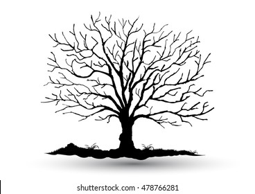 Black dead  Tree, Branch Silhouette  over white background,