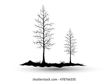Black dead  Tree, Branch Silhouette  over white background,