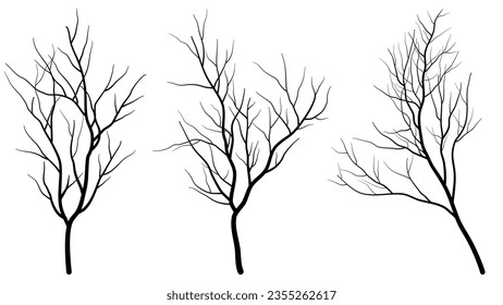 Black deciduous tree collection. Set of dead tree