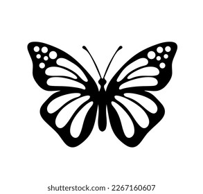 Black decorative butterfly on white background. Vector