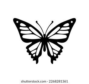 Black decorative butterfly on white background. Vector