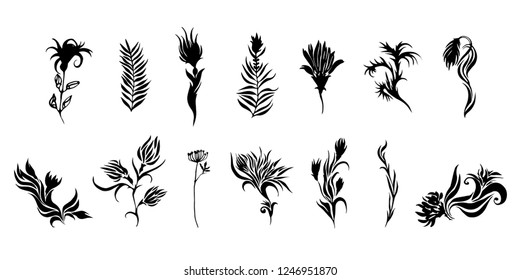 Black decorative elements flowers on white background vector.