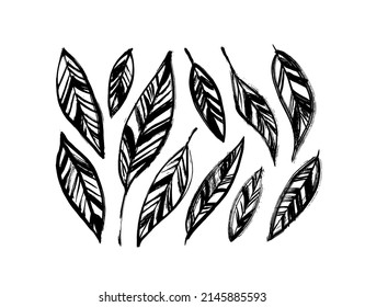 Black decorative leaves vector illustrations set. Black silhouettes leaves, graphic veins. Hand drawn tropical exotic foliage, herbs. Ink elements isolated on white. Modern brush ink illustration