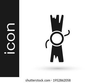 Black Decree, paper, parchment, scroll icon icon isolated on white background.  Vector