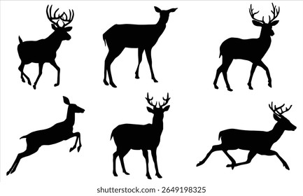 Conjunto de vetor de silhueta de veado preto - Poses de animais selvagens com Antlers e movimento sobre fundo branco