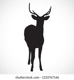 Black deer vector, on the white Background.