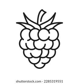 Black dewberry, mulberry isolated bramble fruit thin line icon. Vector outline juicy blackberry, healthy food eating. Sweet ripe organic summer berry