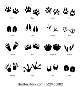 Animal Tracks Foot Print Guide Vector Stock Vector (Royalty Free ...