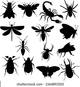 black different insects set  isolated on white background