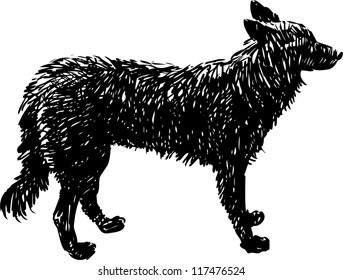 black dog