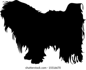 black dog