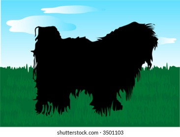 black dog