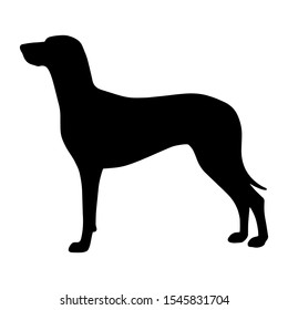 Black dog breed silhouette hand drawing silver weimaraner isolated. Weimaraner royalty hunting dog. For print cup, textile, wallpaper, banner, fabric, web, scrapbook, cover of notebook, icon, logo